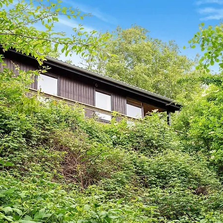Ferienhaus 6 Person In Spottrup-by Traum