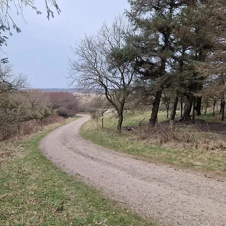 6 Person In Spottrup-by Traum