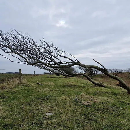 6 Person In Spottrup-by Traum Dom wakacyjny Lihme