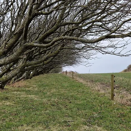 6 Person In Spottrup-by Traum Lihme