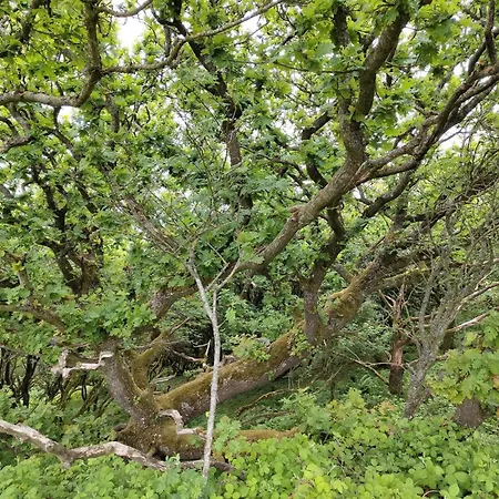 6 Person In Spottrup-by Traum