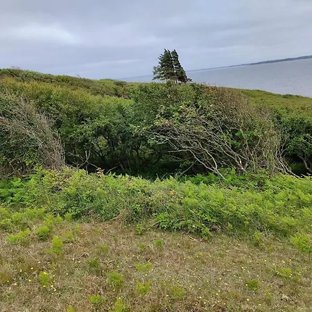 Dom wakacyjny 6 Person In Spottrup-by Traum