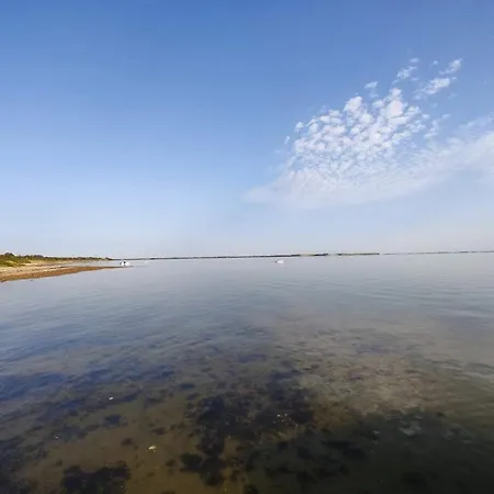 6 Person In Spottrup-by Traum