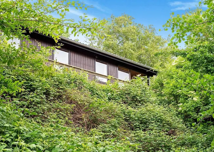 Ferienhaus 6 Person In Spottrup-by Traum